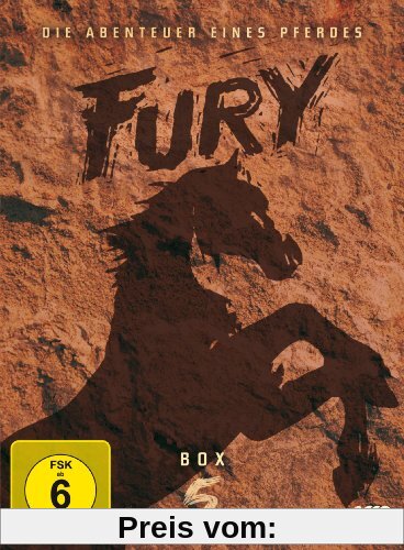 Fury - Box 5 [3 DVDs] von Ray Nazarro