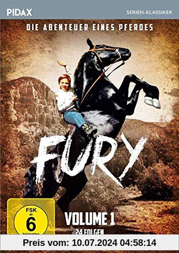 Fury - Die Abenteuer eines Pferdes, Vol. 1 / Die ersten 24 Folgen der Kultserie (Pidax Serien-Klassiker) [4 DVDs] von Ray Nazarro