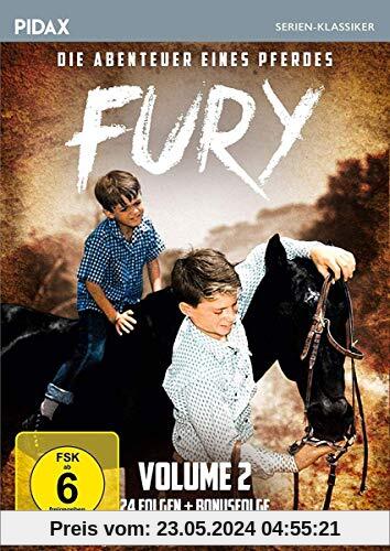 Fury - Die Abenteuer eines Pferdes, Vol. 2 / Weitere 24 Folgen der Kultserie + Bonusfolge (Pidax Serien-Klassiker) [4 DVDs] von Ray Nazarro