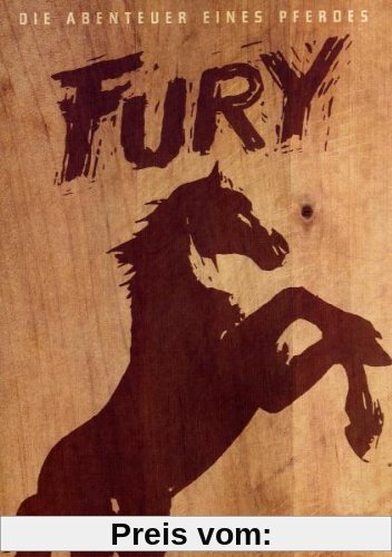 Fury - Vol.1 (4 DVDs) von Ray Nazarro