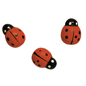 Rayher Holz-Streudeko rot/schwarz Marienkäfer Ø 1,5 cm 24 St. Rayher Holz-Streudeko rot/schwarz Marienkäfer Ø 1,5 cm 24 St. von Rayher