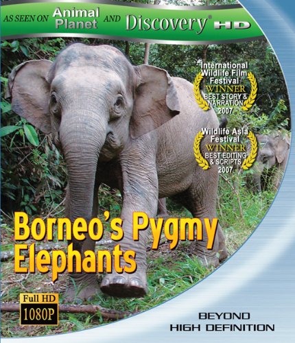 Borneos Pygmy Elephants [Blu-ray] [Import] von Razor Digital Entertainment