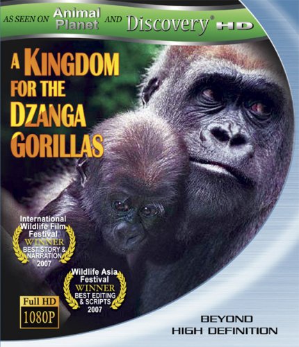 Kingdom for the Dzanga Gorillas [Blu-ray] [Import] von Razor Digital Entertainment