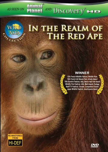 Wild Asia: In the Realm of the Red Ape [DVD] [Import] von Razor Digital Entertainment