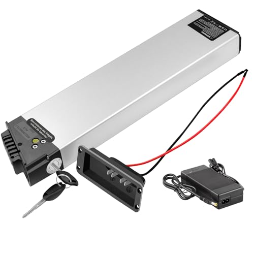E-Bike-Akku, 24 V, 36 V, 10,5 Ah, 14 Ah, passend für 250 W, 350 W, 300 W, 400 W, 500 W, 700 W, für Elektrofahrräder, Lithium-Ionen-Akku, eingebauter Akku (36 V, 14 Ah (50 W-700 W)) von Rdideal