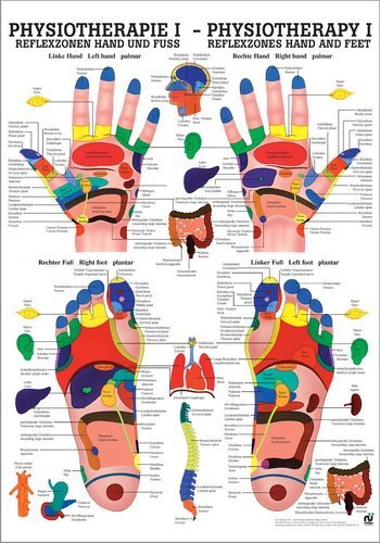 Ruediger Anatomie PHYS I LAM Reflexzonen Hand und Fuß Tafel, 50 cm x 70 cm, laminiert von Rdiger- Anatomie GmbH