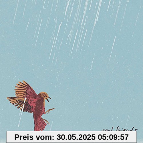 Composure Composure von Real Friends