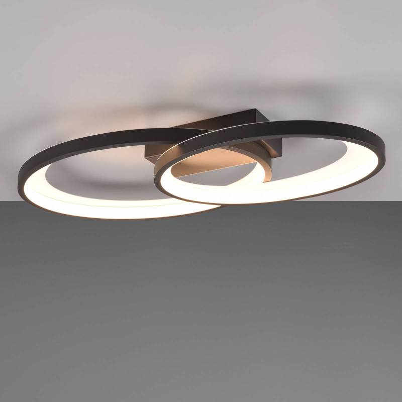 LED-Deckenleuchte Malaga mit 2 Ringen, schwarz von Reality Leuchten
