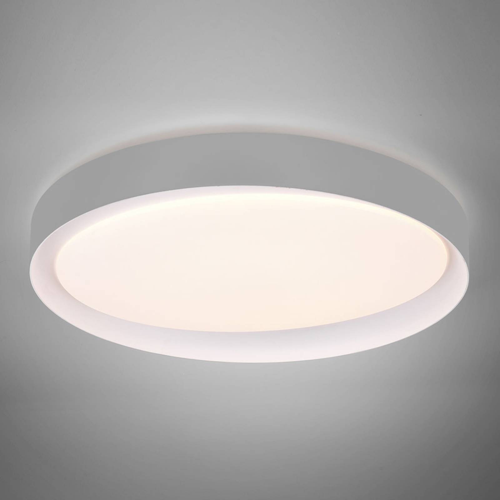 LED-Deckenleuchte Zeta tunable white, grau/weiß von Reality Leuchten