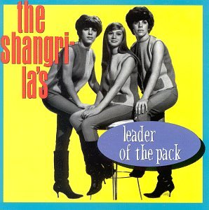 Leader of the Pack [Musikkassette] von Rebound Records