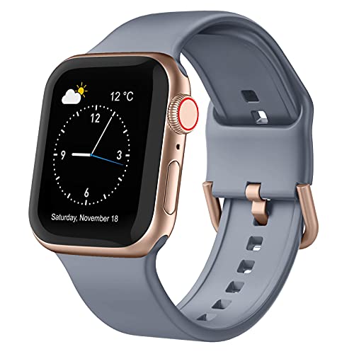 Adepoy Kompatibel mit Apple Watch Armband 41mm 40mm 38mm, Silikon Sport Ersatz Band mit Edelstahl Verschluss für iWatch Series SE 7 6 5 4 3 2 1 Damen Herren, Blaugrau Adepoy Kompatibel mit Apple Watch Armband 41mm 40mm 38mm, Silikon Sport Ersatz Band mit Edelstahl Verschluss für iWatch Series SE 7 6 5 4 3 2 1 Damen Herren, Blaugrau von Recoppa