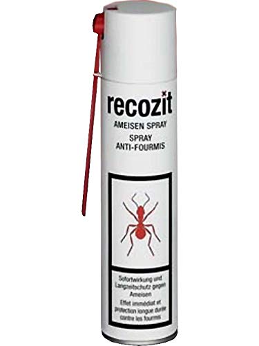 Recozit Ameisen Spray 400 ml von Recozit