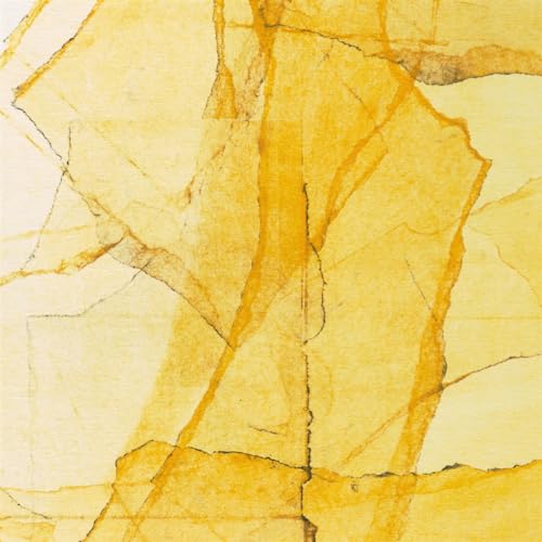 Central Park's Mosaics of Reservoir, Lake, Paths and Gardens (LP) [Vinyl LP] von Red Hook Records