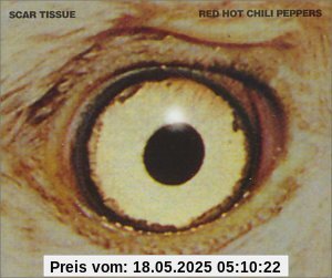 Scar Tissue/Gong Li/Instrument von Red Hot Chili Peppers
