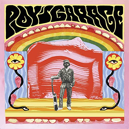 Roy's Garage [Vinyl LP] von Red