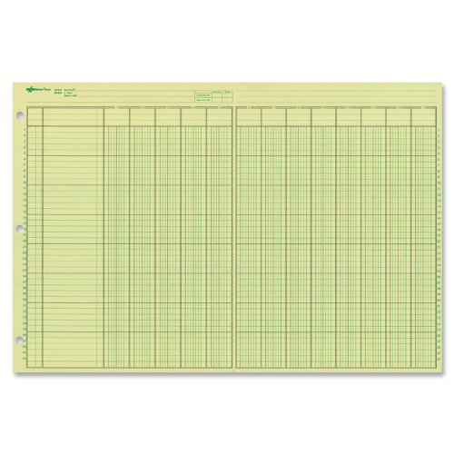 National Analyseblock, 13 Spalten, grünes Papier, 27,9 x 41,6 cm, 50 Blatt (45613) von Rediform