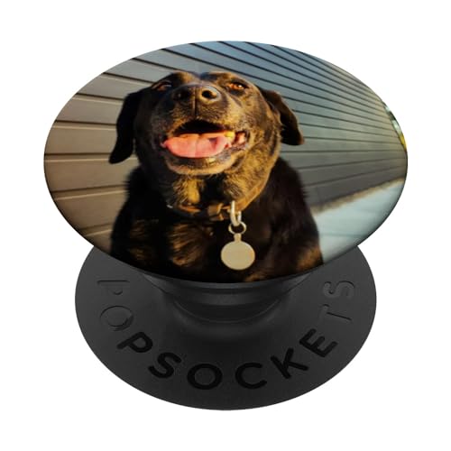 Labrador PopSockets mit austauschbarem PopGrip von Reece & Co