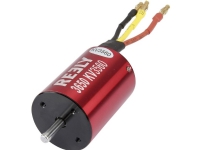 Reely 539092 Ersatzteil Brushless Motor 3650 KV3560 (539092) von Reely