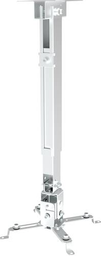Reflecta Tapa Beamer-Deckenhalterung Boden-/Deckenabstand (max.): 65cm Wandabstand (max.): 56cm Weiß von Reflecta
