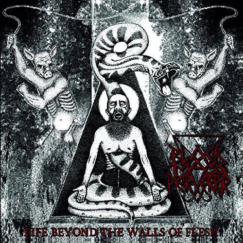 Life Beyond the Walls of Flesh (Vinyl) [Vinyl LP] von Regain (Soulfood)