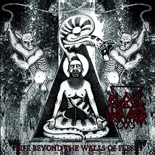 Life Beyond the Walls of Flesh (Vinyl) [Vinyl LP] von Regain (Soulfood)