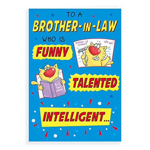 Humor-Geburtstagskarte "Brother In Law", 22,9 x 15,2 cm von Regal Publishing