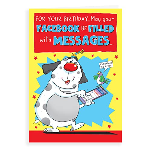 Lustige Geburtstagskarte, Facebook-Nachrichten, 17,8 x 12,7 cm, Regal Publishing von Regal Publishing