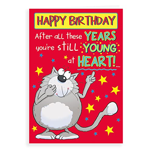 Lustige Geburtstagskarte "Cat young at heart", 17,8 x 12,7 cm von Regal Publishing