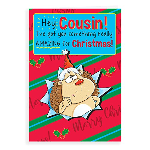 Regal Publishing Humor-Weihnachtskarte Cousin – 22,9 x 15,2 cm von Regal Publishing