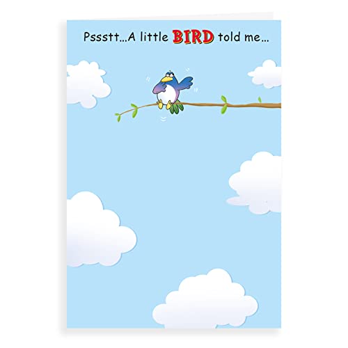 Regal Publishing Humorvolle lustige Geburtstagskarte, Pssstt Bird – 17,8 x 12,7 cm von Regal Publishing