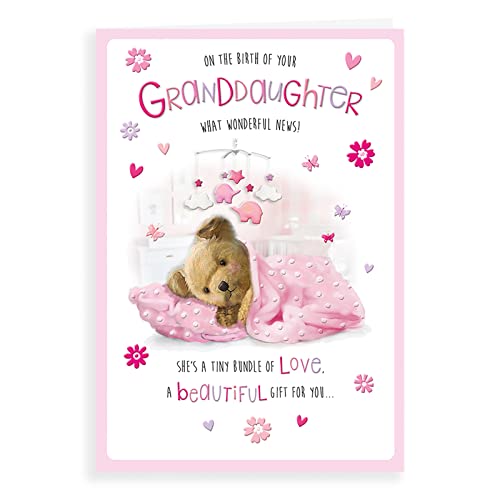 Regal Publishing Niedliche Baby-Karte mit der Geburt der Enkelin, 22,9 x 15,2 cm von Regal Publishing