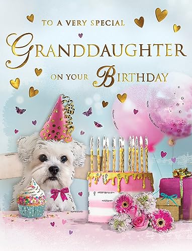 Regal Publishing Traditionelle Geburtstagskarte Hund – 20,3 x 15,2 cm – Piccadilly Greetings von Regal Publishing