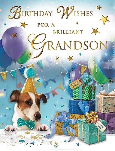Regal Publishing Traditionelle Geburtstagskarte für Enkel, Hund, 20,3 x 15,2 cm, Piccadilly Greetings von Regal Publishing