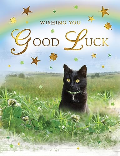 Regal Publishing Wishing You Good Luck Karte mit schwarzer Katze, 20,3 x 15,2 cm von Regal Publishing