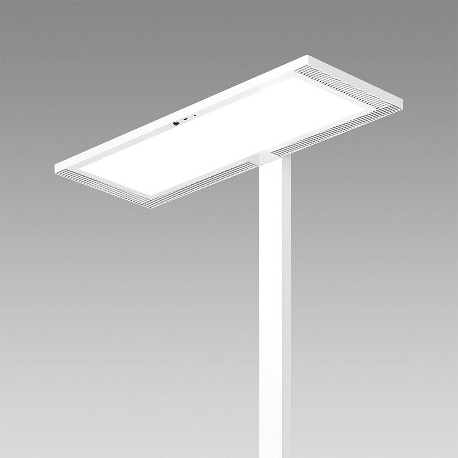 Regent Lighting Lightpad LED Sensor 1fl Fuß weiß von Regent Lighting