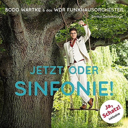 Jetzt Oder Sinfonie ! [Vinyl LP] von Reimkultur (Tonpool)