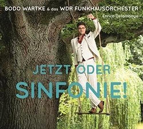 Jetzt Oder Sinfonie ! von Reimkultur (Tonpool)