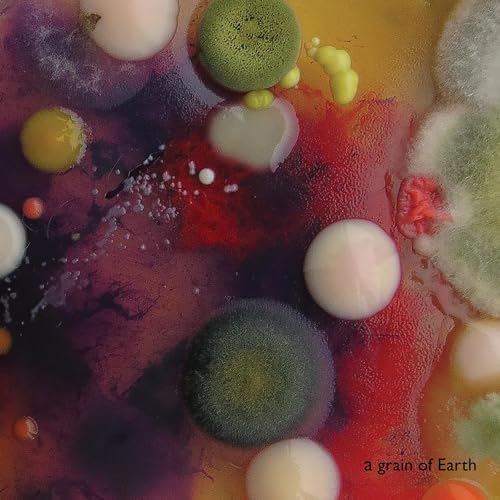 A Grain Of Earth A Grain Of Earth von Relative Pitch