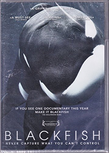 DVD - Blackfish (1 DVD) von Remain in Light