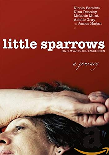 DVD - Little sparrows (1 DVD) von Remain in Light