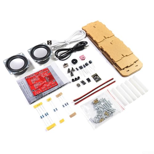 Interaktives DIY-Elektronik-Set, bauen Sie Ihre eigenen Stereo-Lautsprecher mit transparentem Design und einfacher Montage (mit Gehäuse) von RemixAst