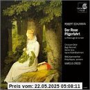 Rose Pilgerfahrt Rose Pilgerfahrt von Remmert