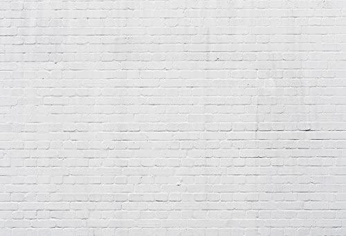 Renaiss 1.5x1m Weiße Backsteinmauer Hintergrund für Fotografie Weißer Boden Vinyl Hintergrund für Baby Shower Kid Adult Portrait Wallpaper Party Banner Foto Video Shooting Studio Requisiten Renaiss 1.5x1m Weiße Backsteinmauer Hintergrund für Fotografie Weißer Boden Vinyl Hintergrund für Baby Shower Kid Adult Portrait Wallpaper Party Banner Foto Video Shooting Studio Requisiten von Renaiss