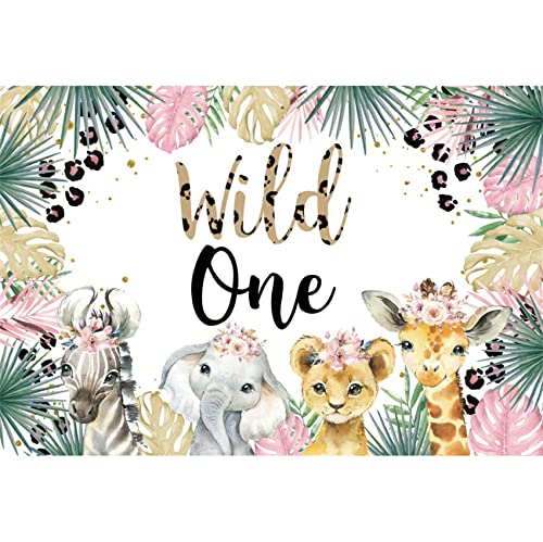 Renaiss 1.8x1.2m Wild One Party Kulisse Safari Dschungel Tiere Thema Mädchen 1 Geburtstag Fotografie Hintergrund Baby Dusche Kuchen Tisch Banner Dekoration Vinyl Fotostudio Requisiten Renaiss 1.8x1.2m Wild One Party Kulisse Safari Dschungel Tiere Thema Mädchen 1 Geburtstag Fotografie Hintergrund Baby Dusche Kuchen Tisch Banner Dekoration Vinyl Fotostudio Requisiten von Renaiss