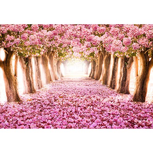 Renaiss 2.2x1.5m Cherry Park Fotografie Hintergrund - Frühling Romantische Rosa Blume Bäume, Rosa Straße Pathway - Kinder Mädchen Portrait Photo Booth Shoot Vinyl Studio Requisiten Renaiss 2.2x1.5m Cherry Park Fotografie Hintergrund - Frühling Romantische Rosa Blume Bäume, Rosa Straße Pathway - Kinder Mädchen Portrait Photo Booth Shoot Vinyl Studio Requisiten von Renaiss
