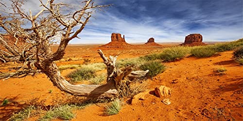 Renaiss 2.5x1.2m Heiße Wüste Fotografie HintergrundTrockener Kahler Baum Sandsteinfelsen Klima Natur Landschaft Hintergrund Erwachsene Reisen Wandern Porträt Fotografieren Fotostudio Requisiten Vinyl Renaiss 2.5x1.2m Heiße Wüste Fotografie HintergrundTrockener Kahler Baum Sandsteinfelsen Klima Natur Landschaft Hintergrund Erwachsene Reisen Wandern Porträt Fotografieren Fotostudio Requisiten Vinyl von Renaiss
