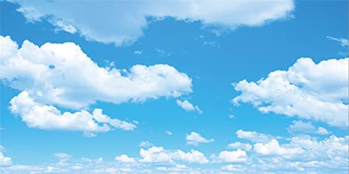 Renaiss 2.5x1.2m Himmel Fotografie Hintergrund Blauer Himmel weiße Wolke Hintergrund groß Vinyl Hintergrund Party Banner Babyparty Kinder Erwachsene Porträt Foto Video Shoot Studio Requisiten Renaiss 2.5x1.2m Himmel Fotografie Hintergrund Blauer Himmel weiße Wolke Hintergrund groß Vinyl Hintergrund Party Banner Babyparty Kinder Erwachsene Porträt Foto Video Shoot Studio Requisiten von Renaiss