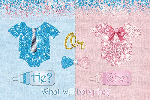 Renaiss 2.5x1.8m Gender Reveal Hintergrund Rosa Blau Glitter Fotografie Hintergrund Er oder Sie Mädchen oder Junge Fotografie Hintergrund Baby Shower Party Dekorationen Banner Vinyl Studio Requisiten von Renaiss