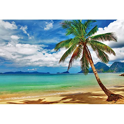 Renaiss 2.5x1.8m Meer Natur Landschaft Fotografie Hintergrund Strand Meer Palme Hintergrund Hawaii Urlaub Party Dekor Kinder Braut Portrait Shooting Vinyl Fotostudio Requisiten von Renaiss