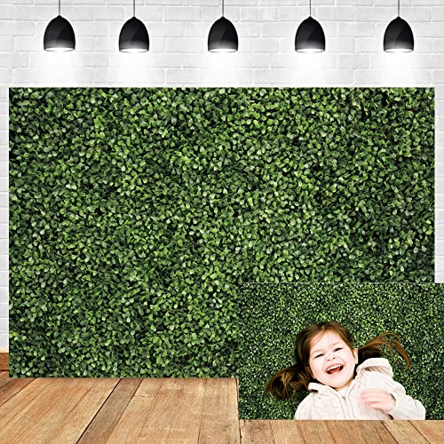 Renaiss 2.5x1.8m Vinyl Fotografie Hintergrund Grüne Blätter Wand Hintergrund Neugeborenes Baby Dusche Geburtstag Party Dekorationen Erwachsene Kinder Porträt Shooting Foto Studio Requisiten Renaiss 2.5x1.8m Vinyl Fotografie Hintergrund Grüne Blätter Wand Hintergrund Neugeborenes Baby Dusche Geburtstag Party Dekorationen Erwachsene Kinder Porträt Shooting Foto Studio Requisiten von Renaiss